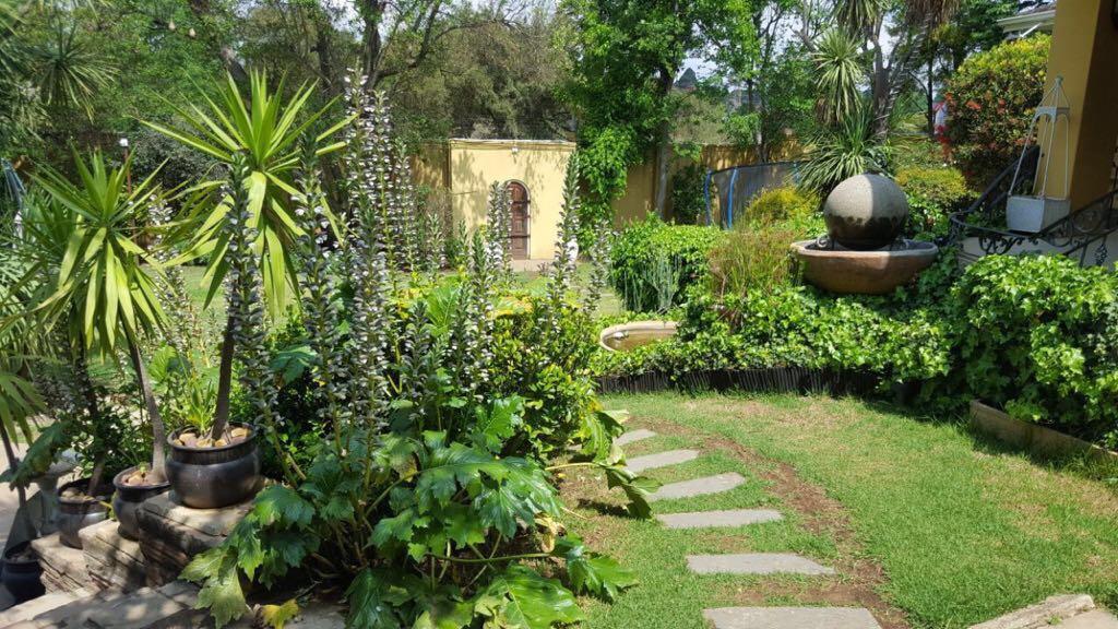 Villa MikaMora Johannesburg Esterno foto