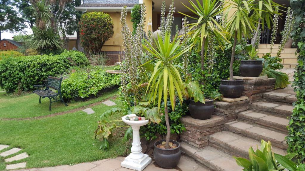 Villa MikaMora Johannesburg Esterno foto